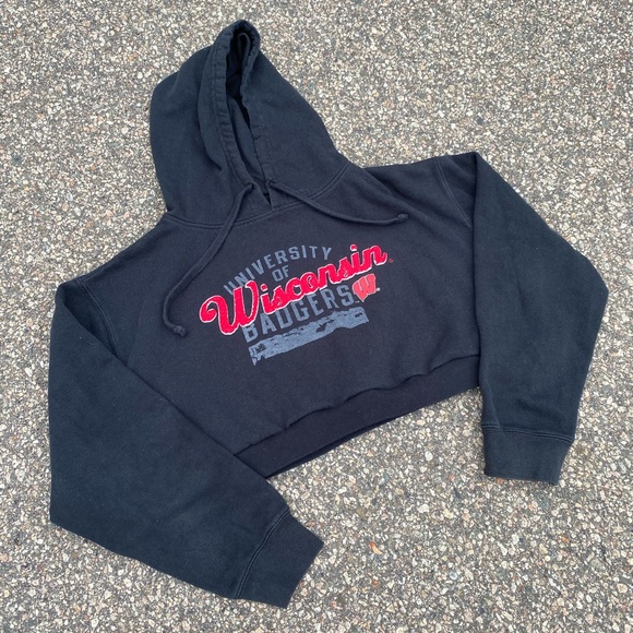 University of Wisconsin Cropped Sweatshirt - Picture 1 of 3